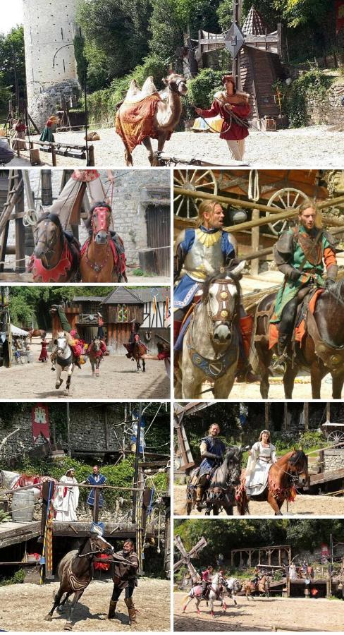 Harmonia Maison De Caractere Proche Provins Gouaix Dış mekan fotoğraf