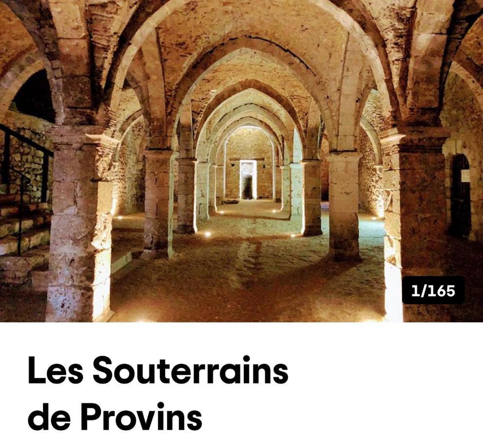 Harmonia Maison De Caractere Proche Provins Gouaix Dış mekan fotoğraf